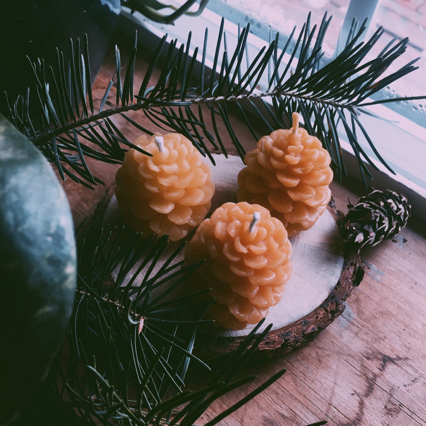 Pine Cone Small Beeswax Candle