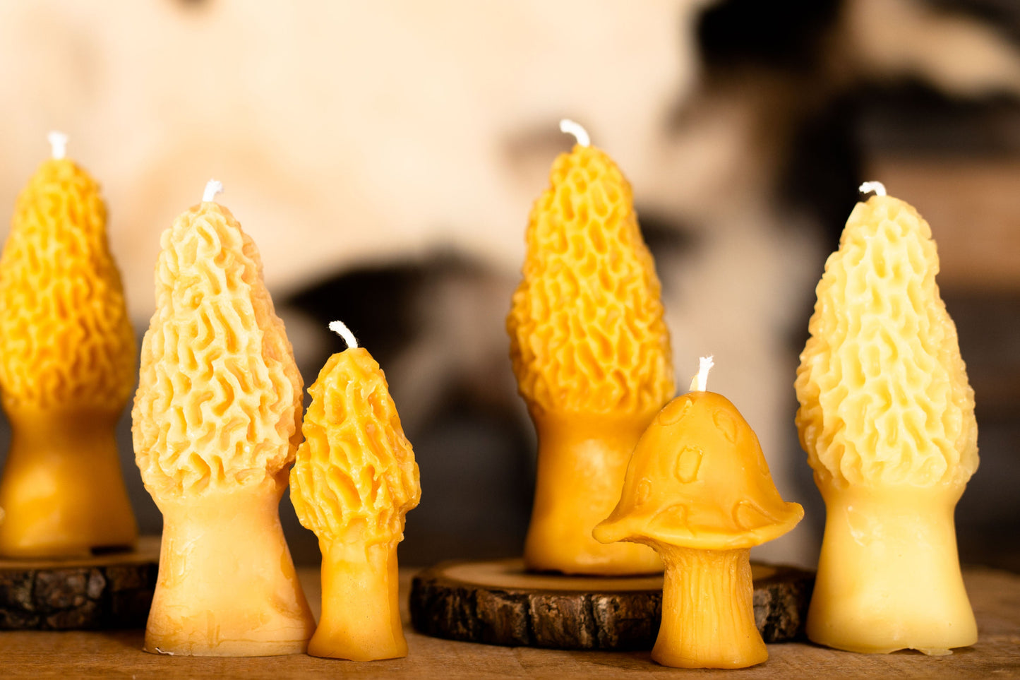 Morel Beeswax Candle