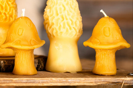 Smurf Mushroom Beeswax Candle
