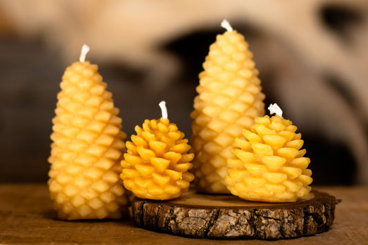 Pine Cone Small Beeswax Candle