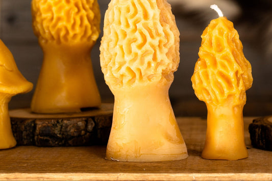 Morel Mushroom Small Beeswax Candle