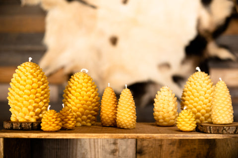 Pine Cone Large Beeswax Candles