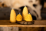 Pine Cone ~ Fir Beeswax Candles
