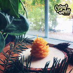 Pine Cone Small Beeswax Candles