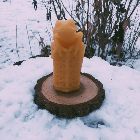 Forest Tree Frog Beeswax Candle
