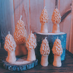 Morel Mushroom Small Beeswax Candle