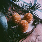 Pine Cone Small Beeswax Candles