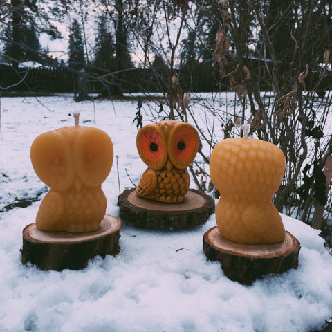 Vintage Owl Beeswax Candle