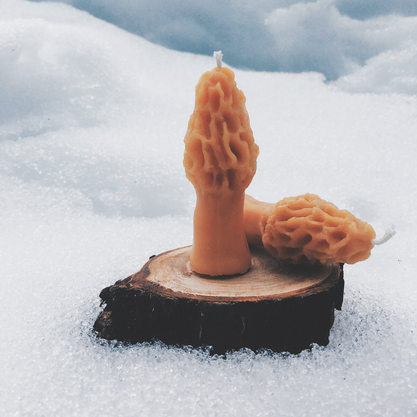 Morel Mushroom Small Beeswax Candle