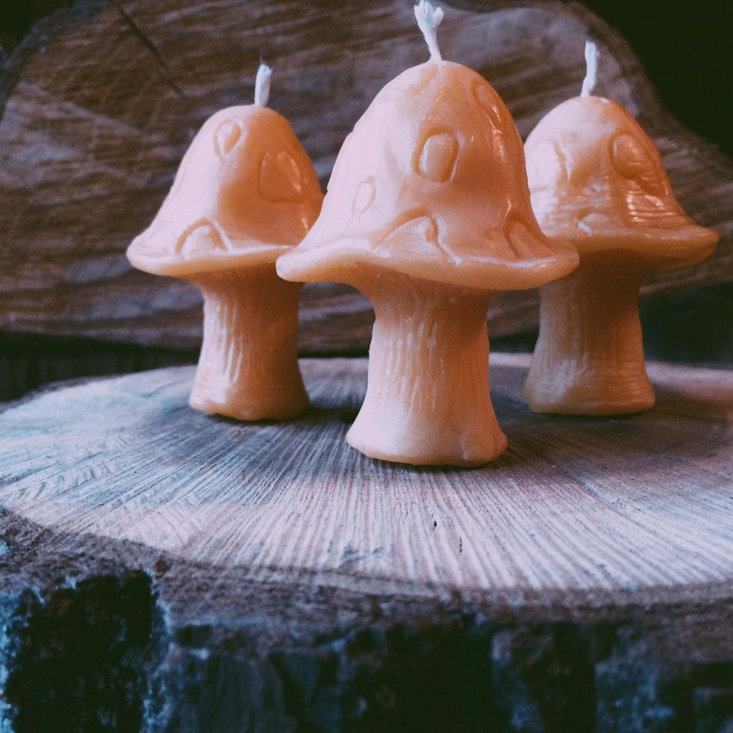 Smurf Mushroom Beeswax Candle